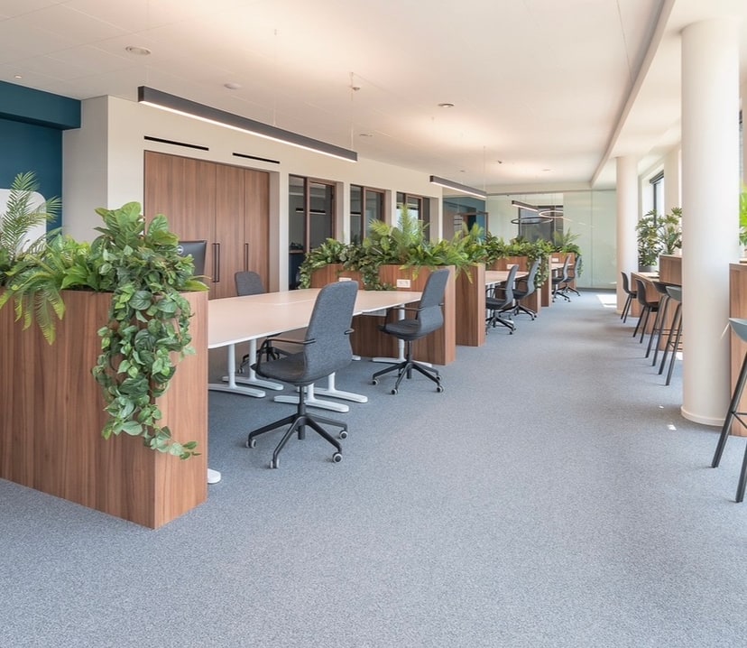 Tapijttegels in een kantoortuin met planten